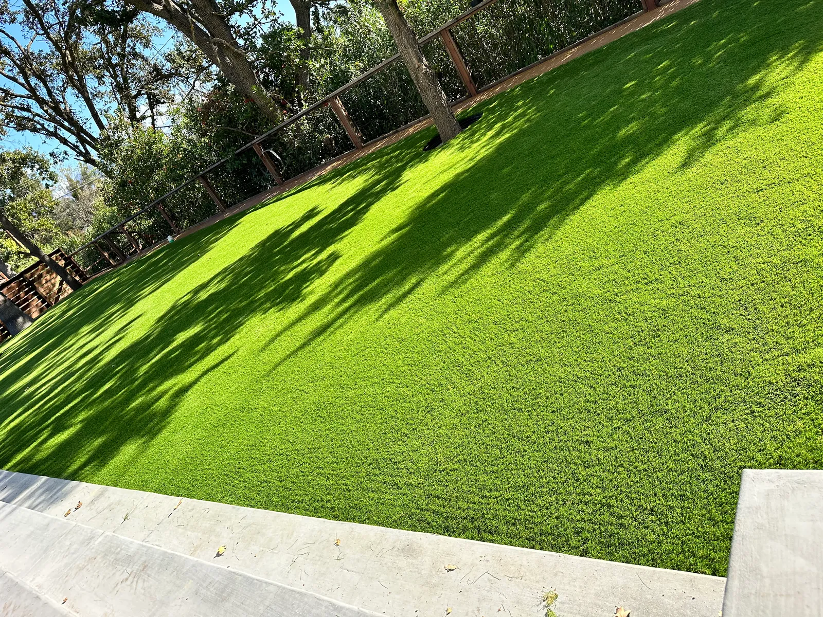 Artificial Turf Lawn