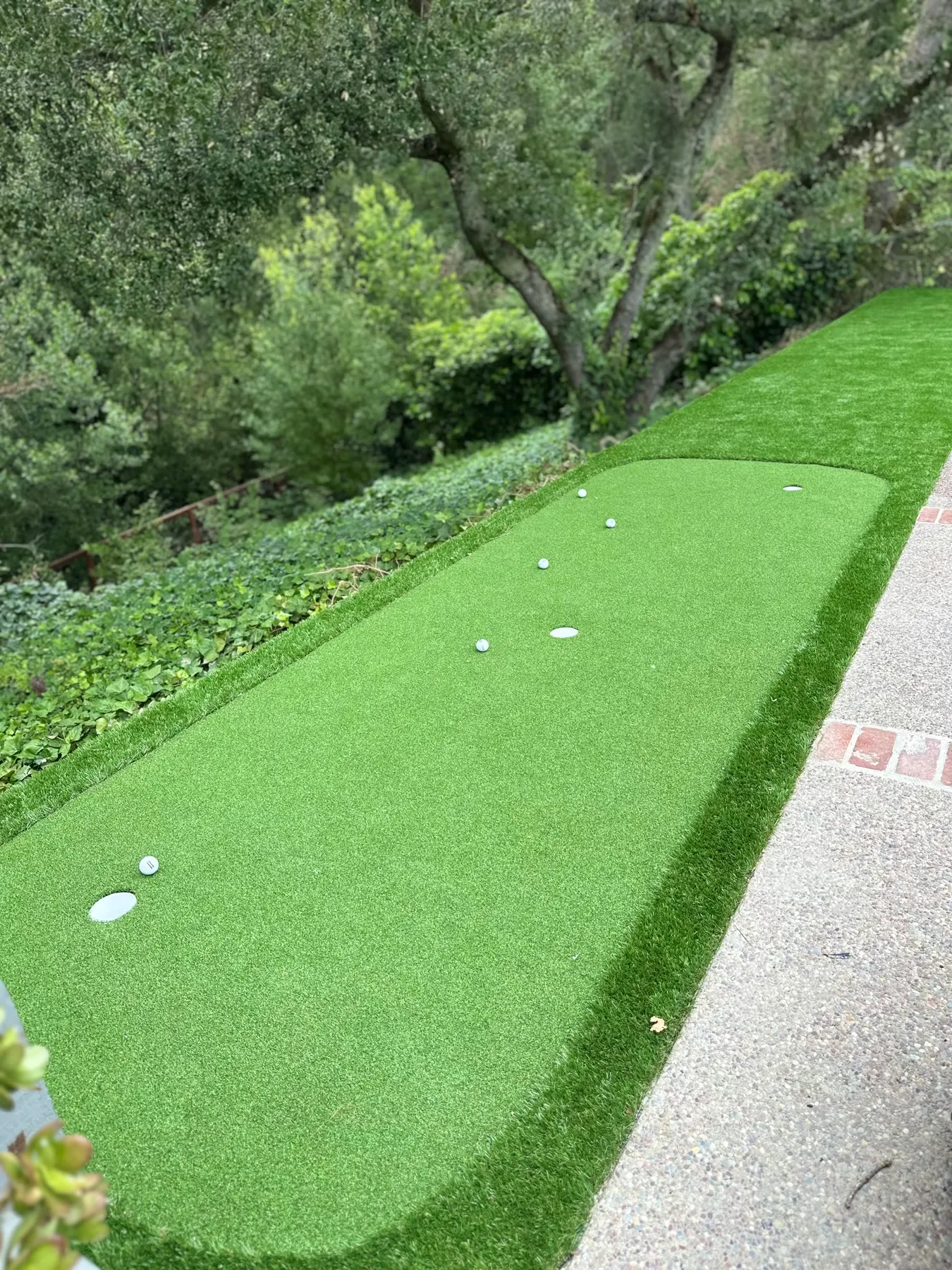 Backyard Putting Green — Orinda